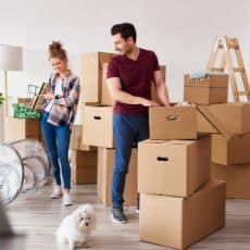 couple-and-dog-packing-boxes